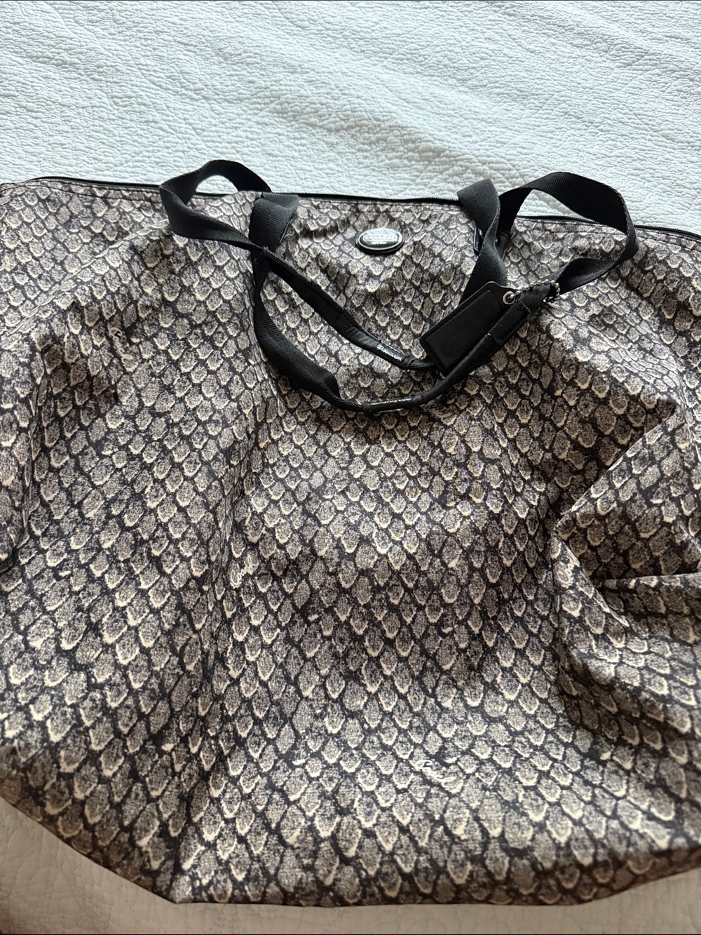 Coach Snake-Print Tote in Black and Beige